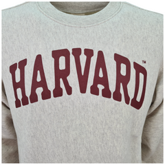 Champion felpa girocollo harvard uomo