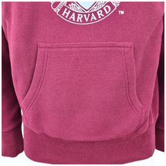 Champion felpa con cappuccio harvard uomo