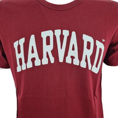 Champion t-shirt manica corta harvard uomo