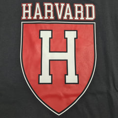 Champion t-shirt manica corta harvard uomo