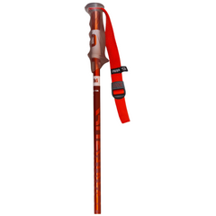 Volkl bastoncini sci phantastick donna